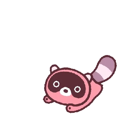 Racoon waving